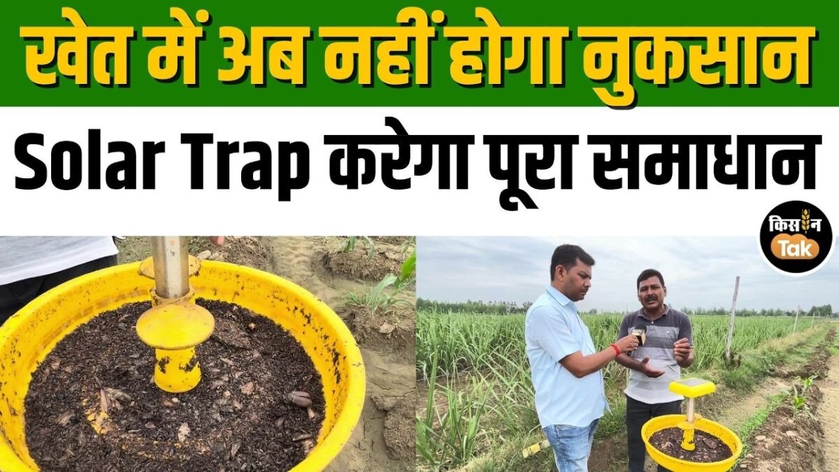 सोलर लाइट ट्रैप