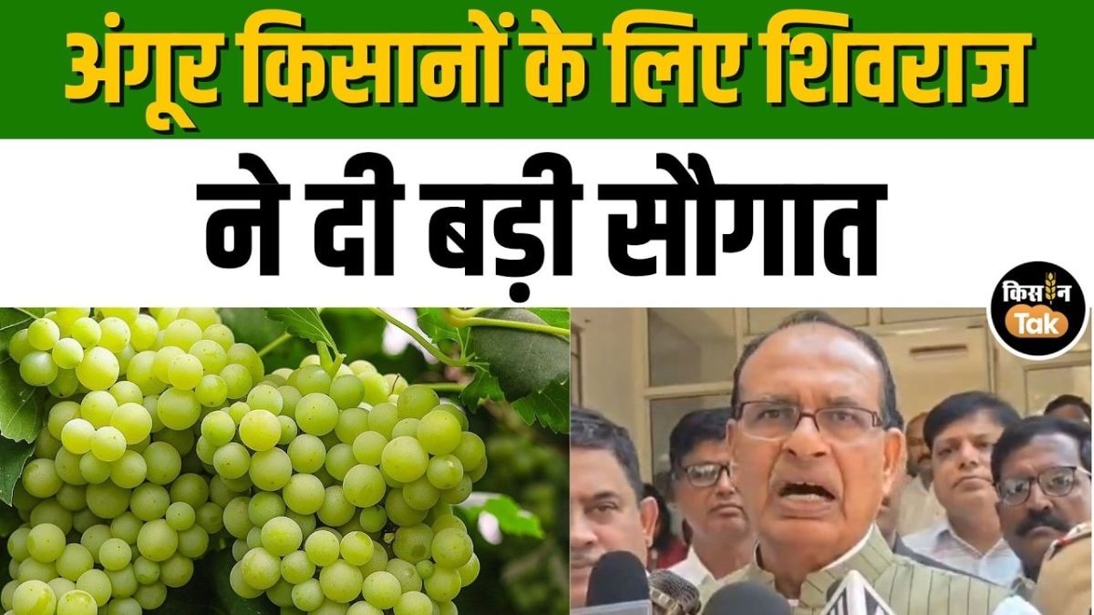 शिवराज सिंह चौहान