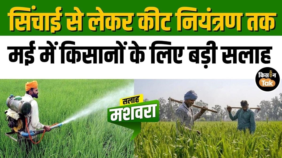 किसानों के लिए जरूरी सलाह