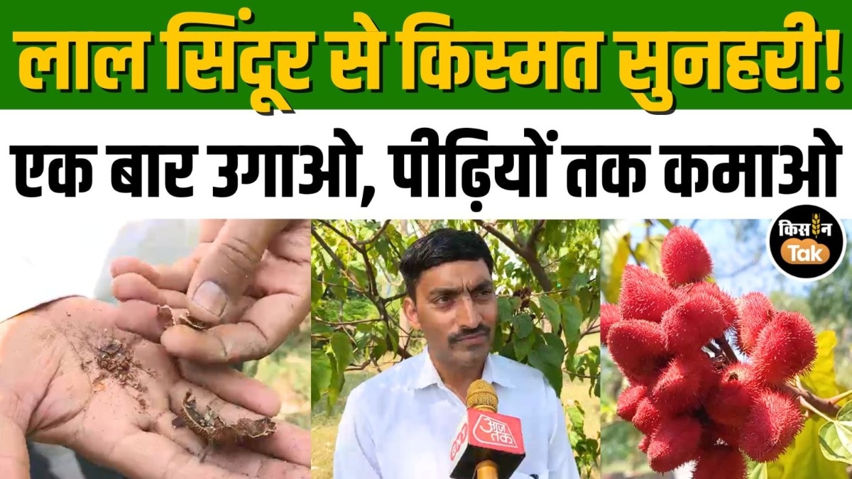 Sindoor Farming