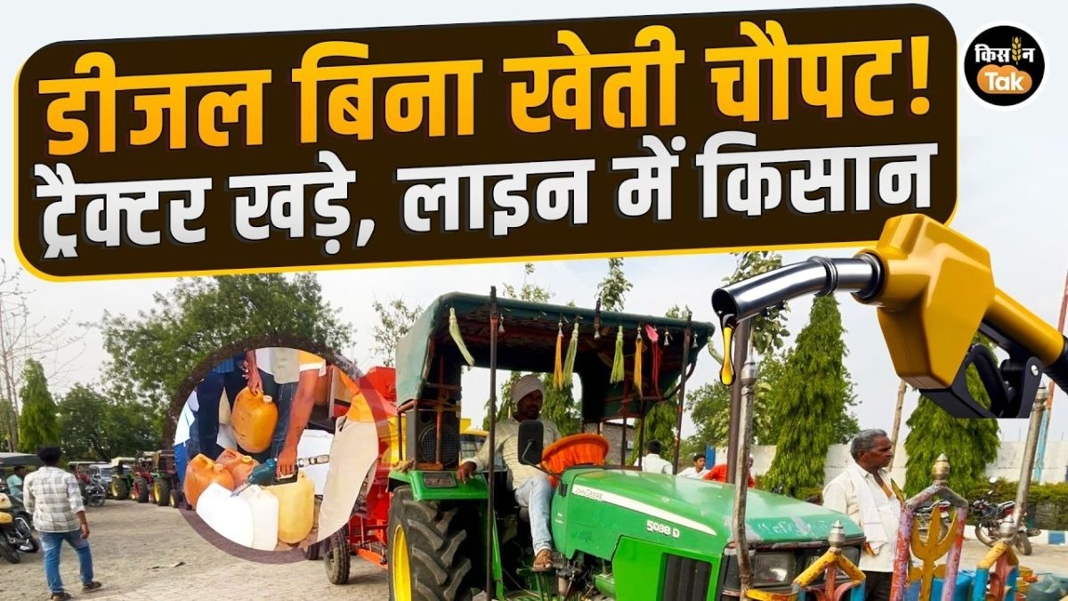 डीजल की किल्लत