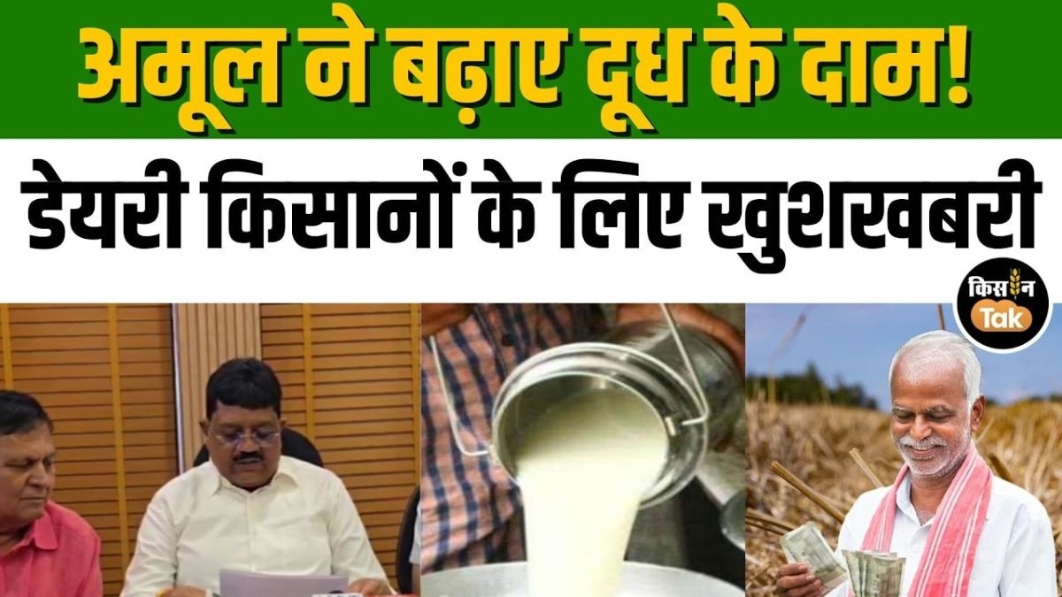 Amul का बड़ा ऐलान