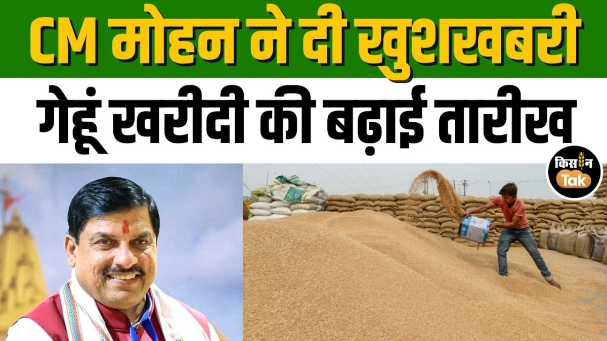 मुख्यमंत्री मोहन यादव