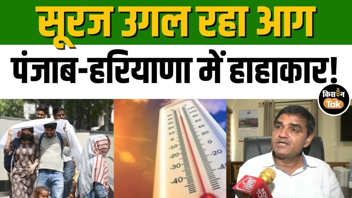भीषण गर्मी का कहर