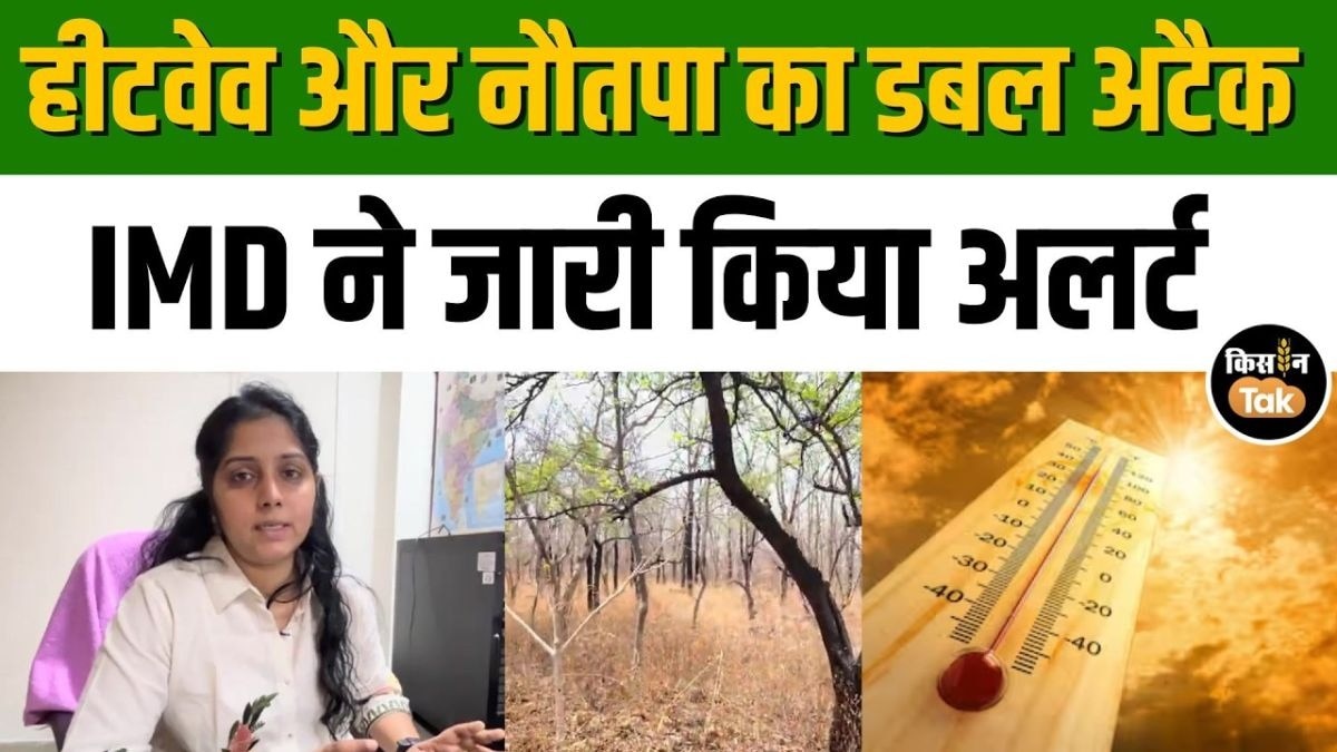हीटवेव का कहर