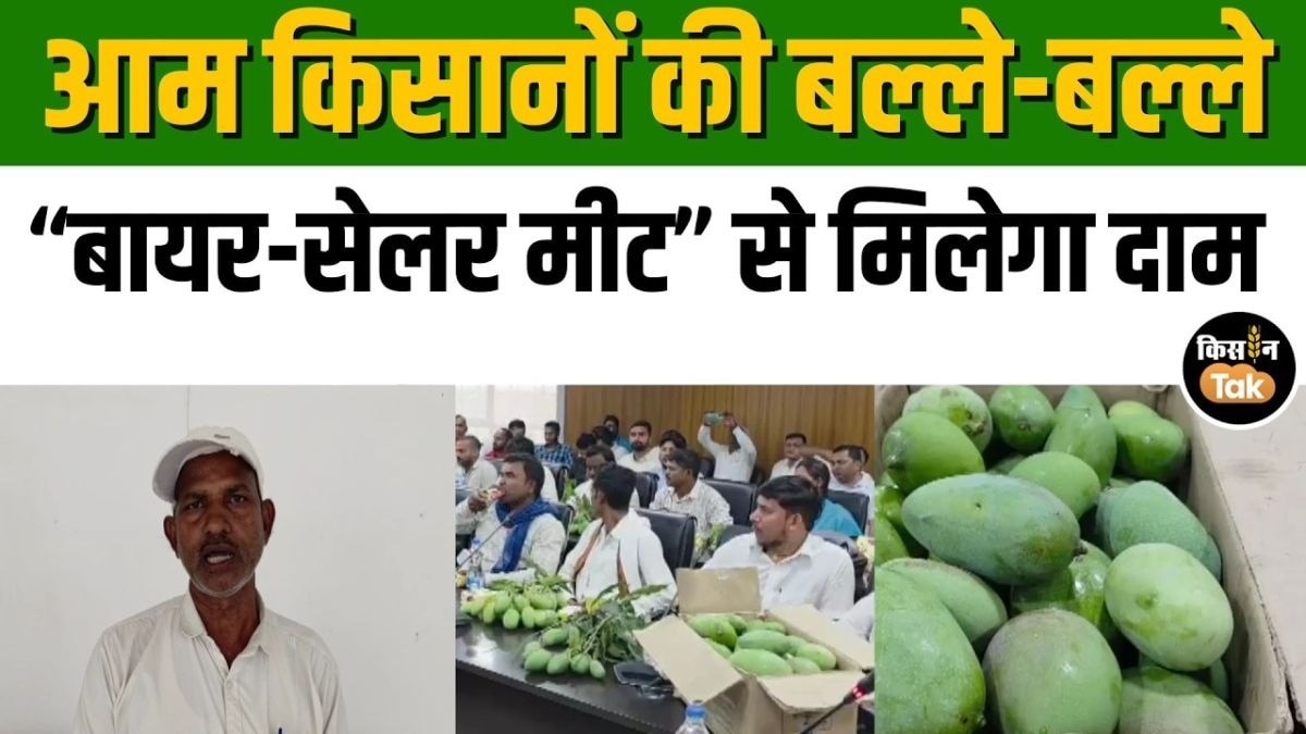 आम बागवानी