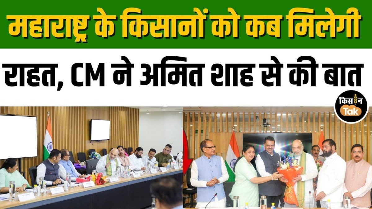 Devendra Fadnavis Amit Shah meeting