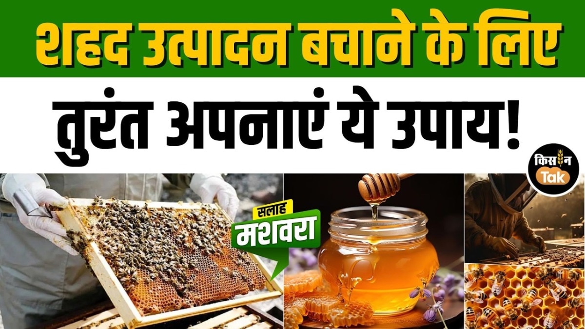 beekeeping in summer