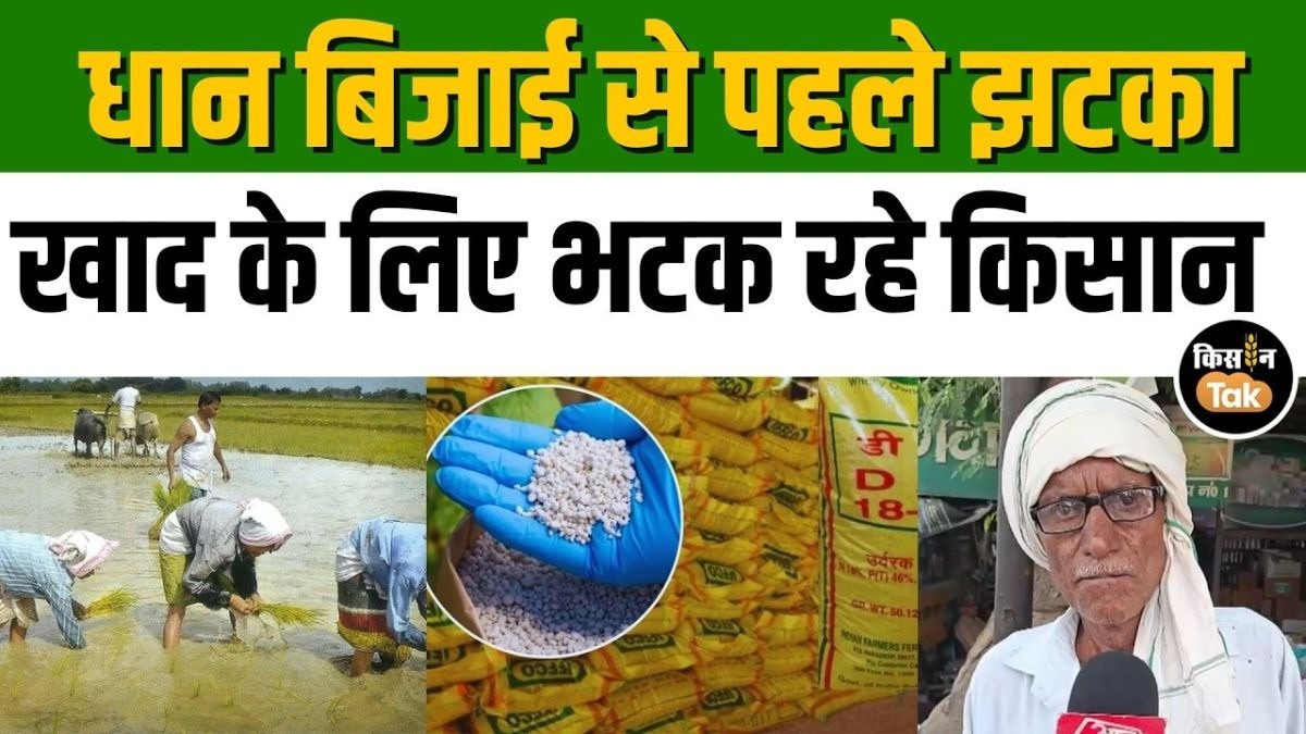 खाद