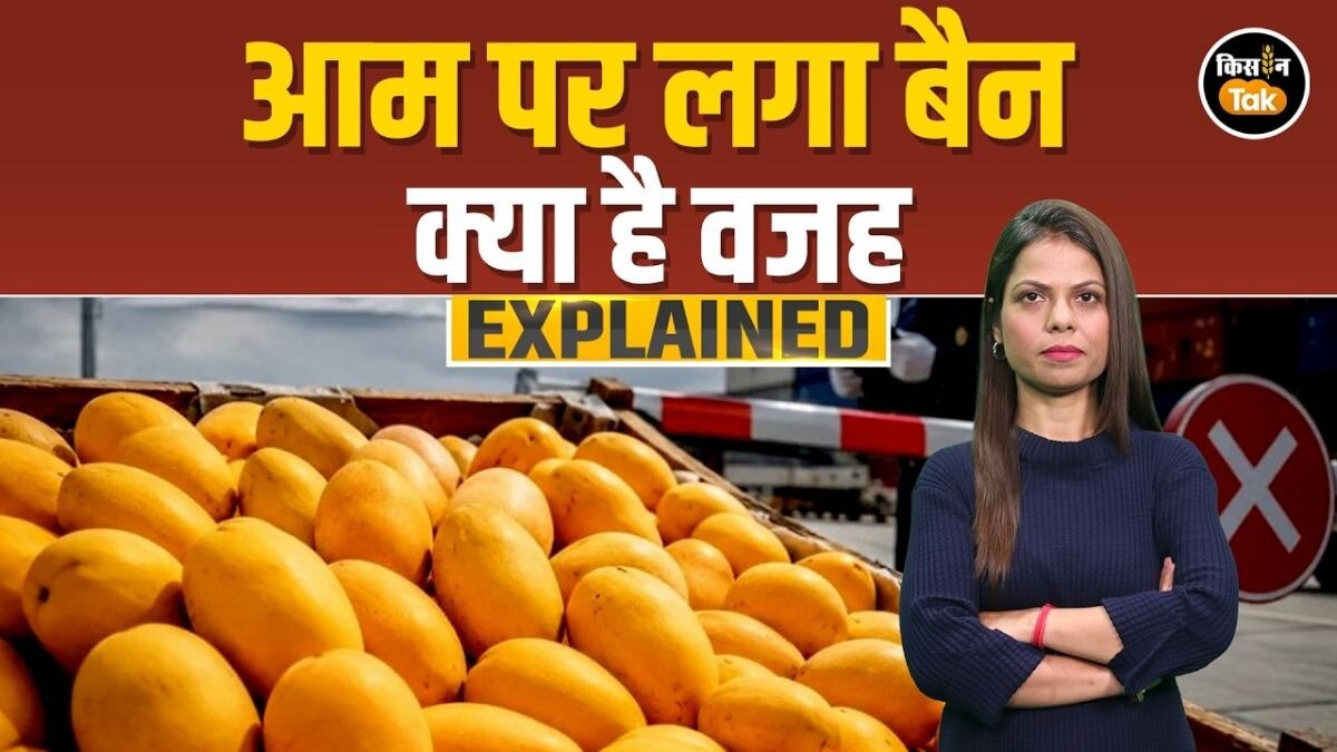 आम पर बैन