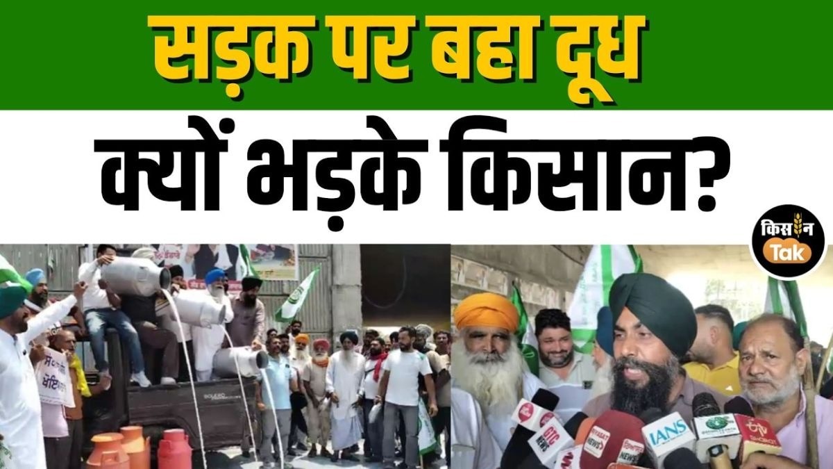 सड़क पर किसानों ने बहाया कई लीटर दूध