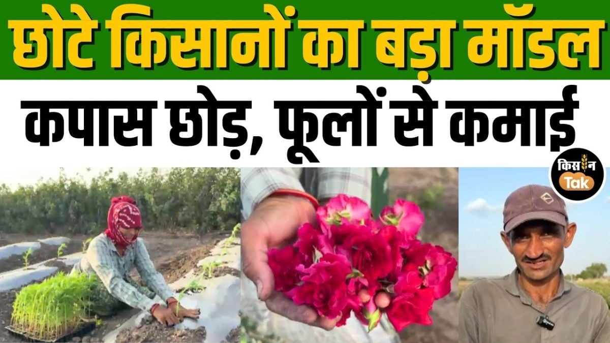 फूलों की खेती