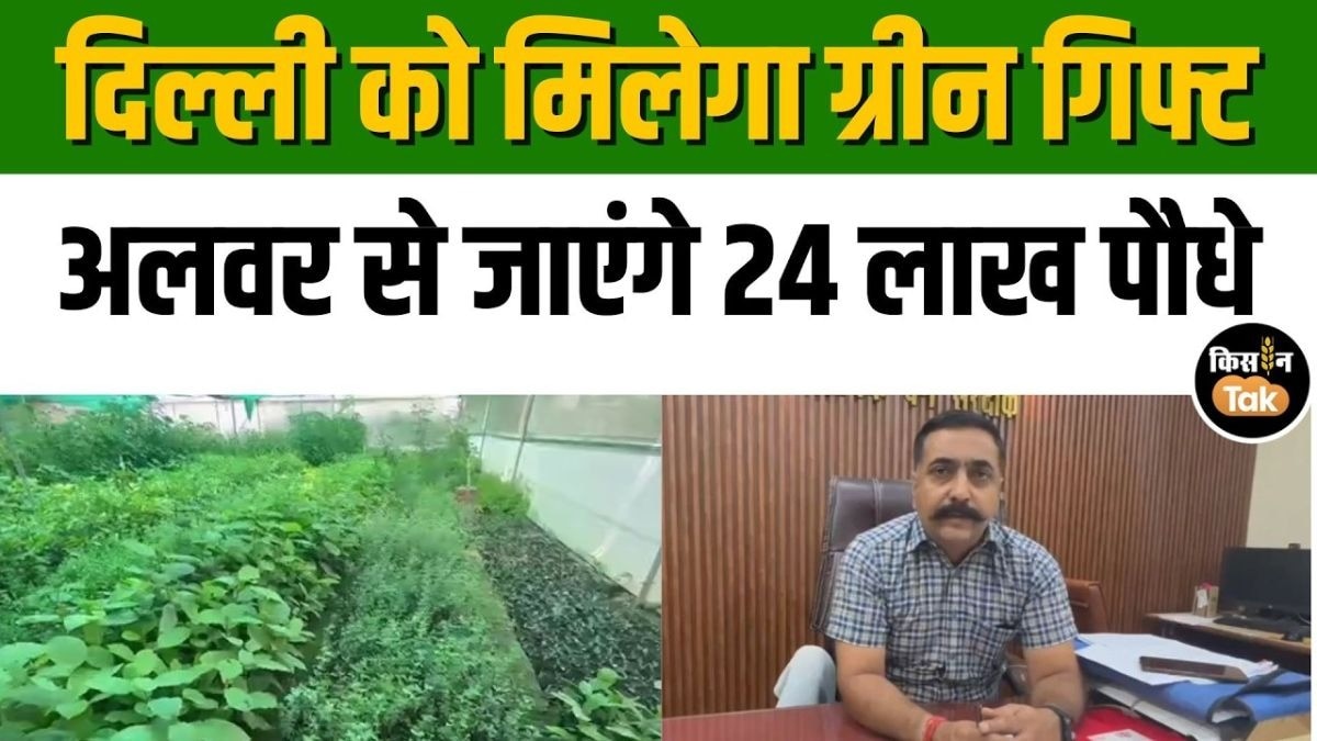 पौधारोपण