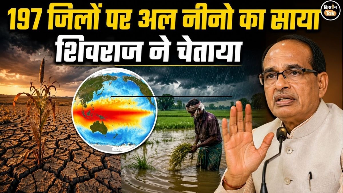 अल नीनो