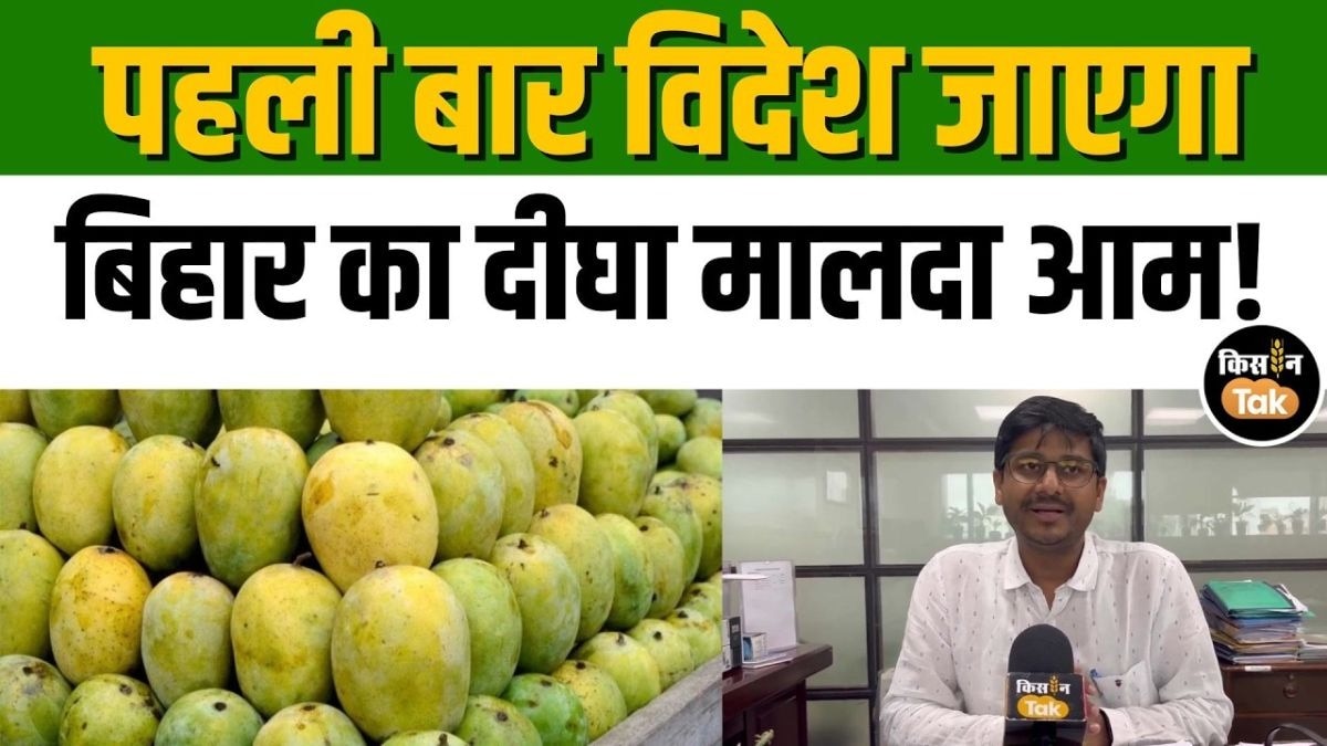 दीघा मालदा