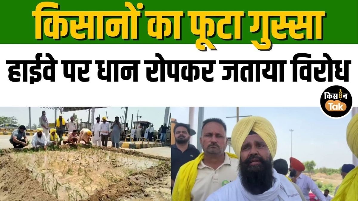 हाईवे पर किसानों का गजब विरोध
