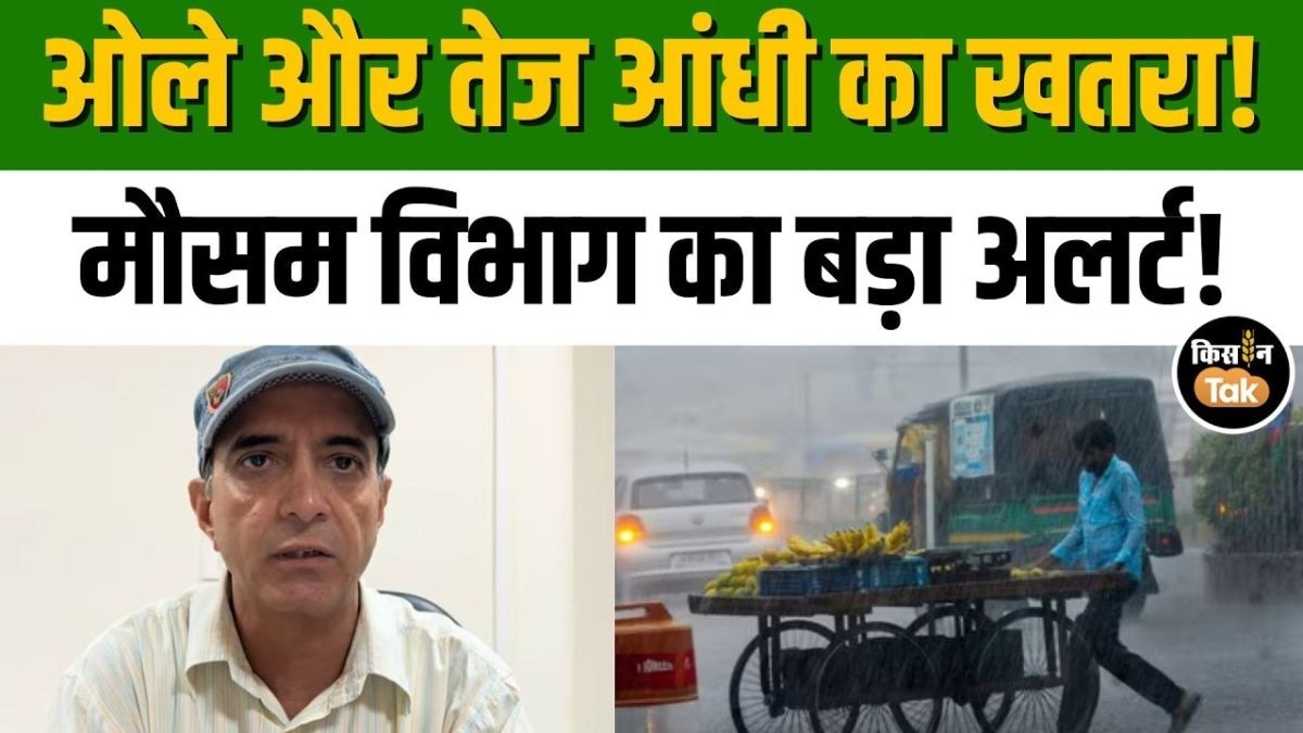 मॉनसून