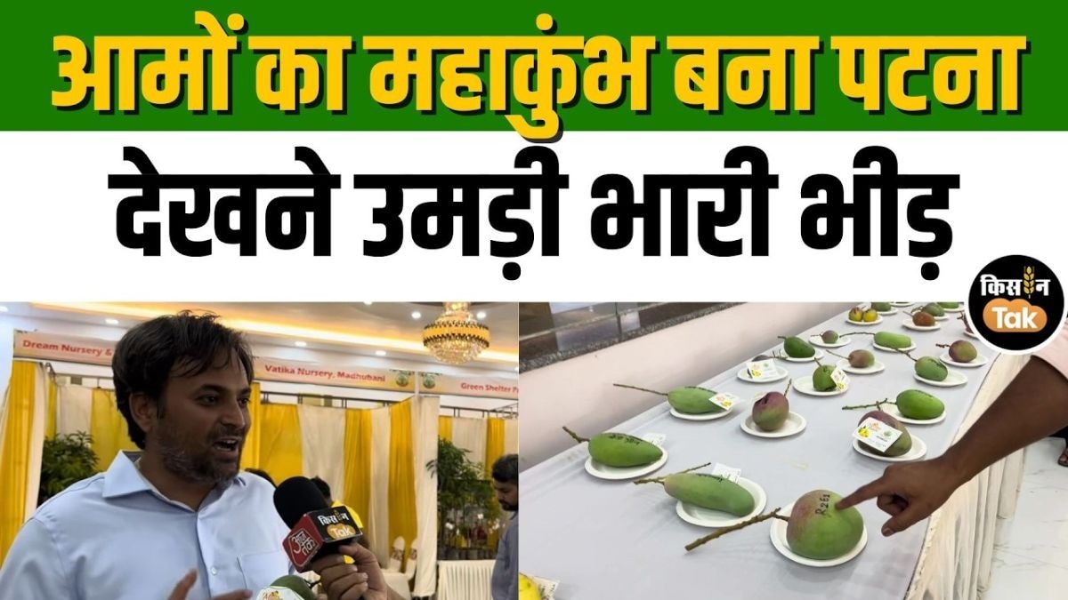 पटना आम महोत्सव
