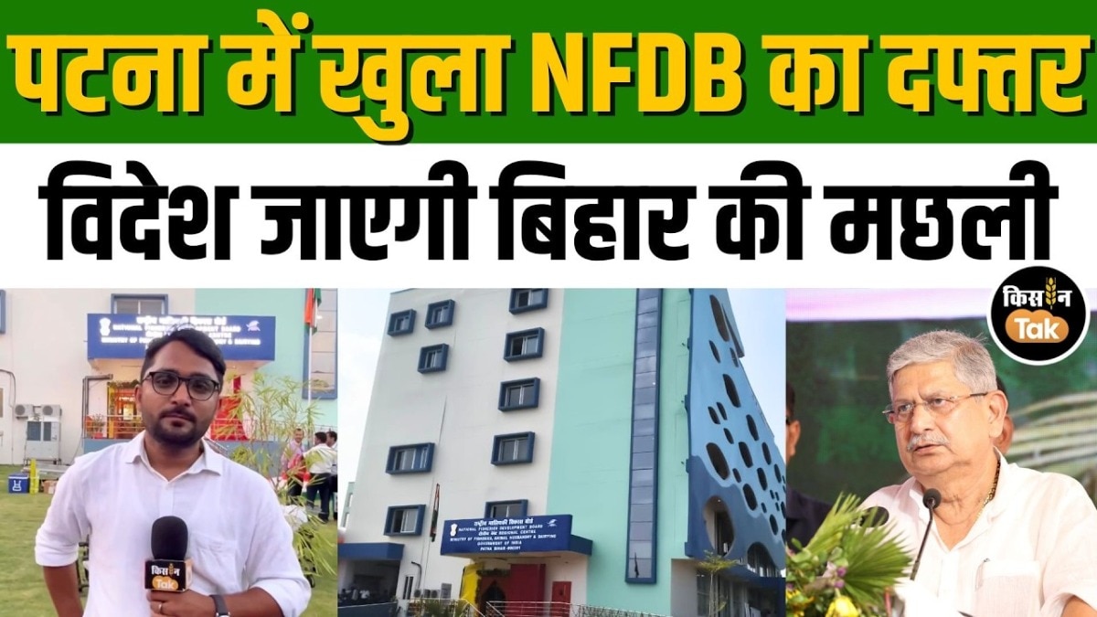 nfdb office