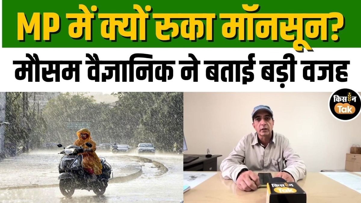 मध्य प्रदेश में मॉनसून का इंतजार जारी! जानिए कब बदलेंगे मौसम के तेवर