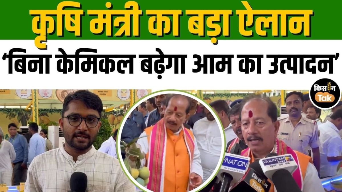 बिहार में शुरू हुआ आम महोत्सव