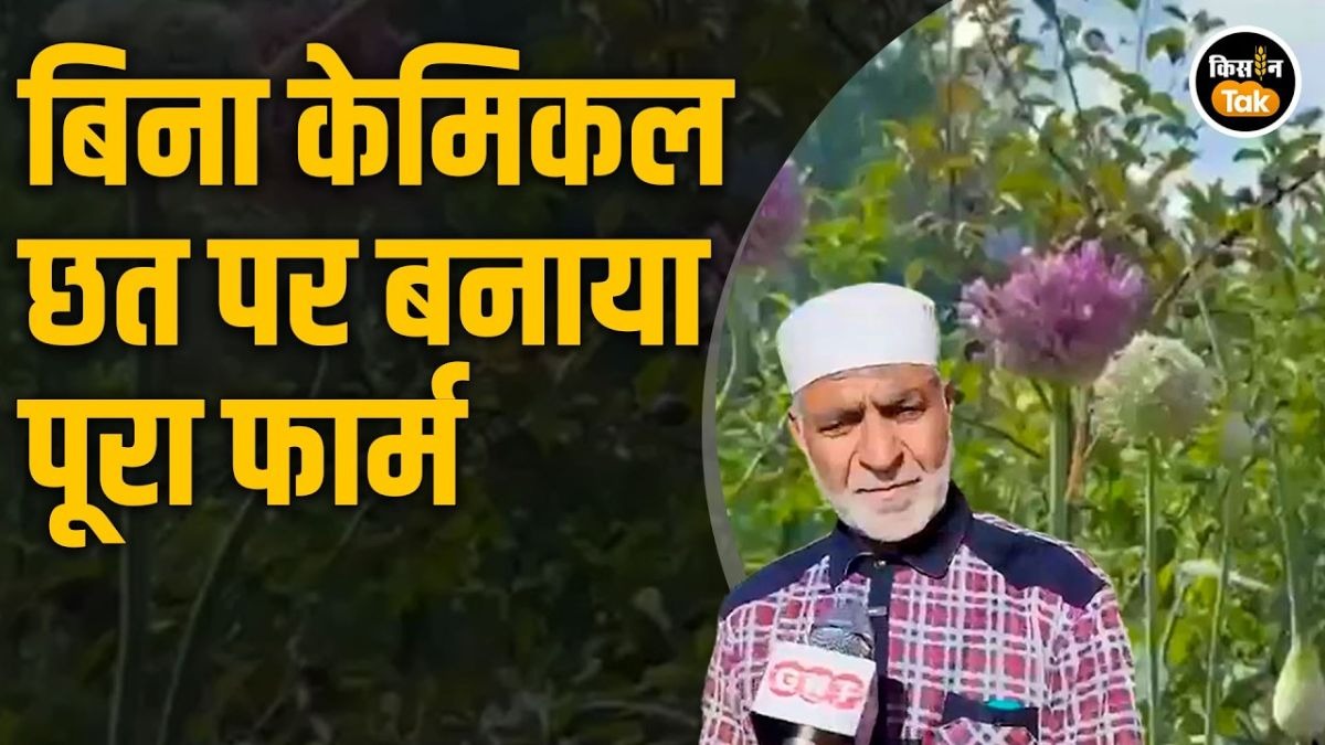 ऑर्गेनिक फार्म