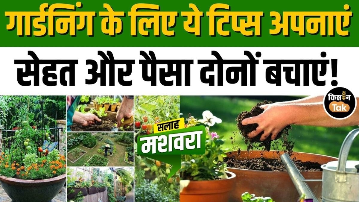  किचन गार्डन