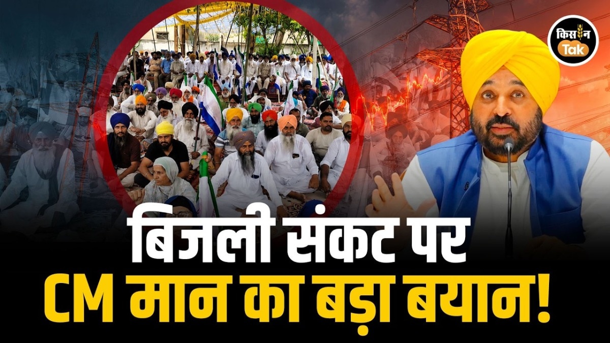 Punjab Electricity Crisis