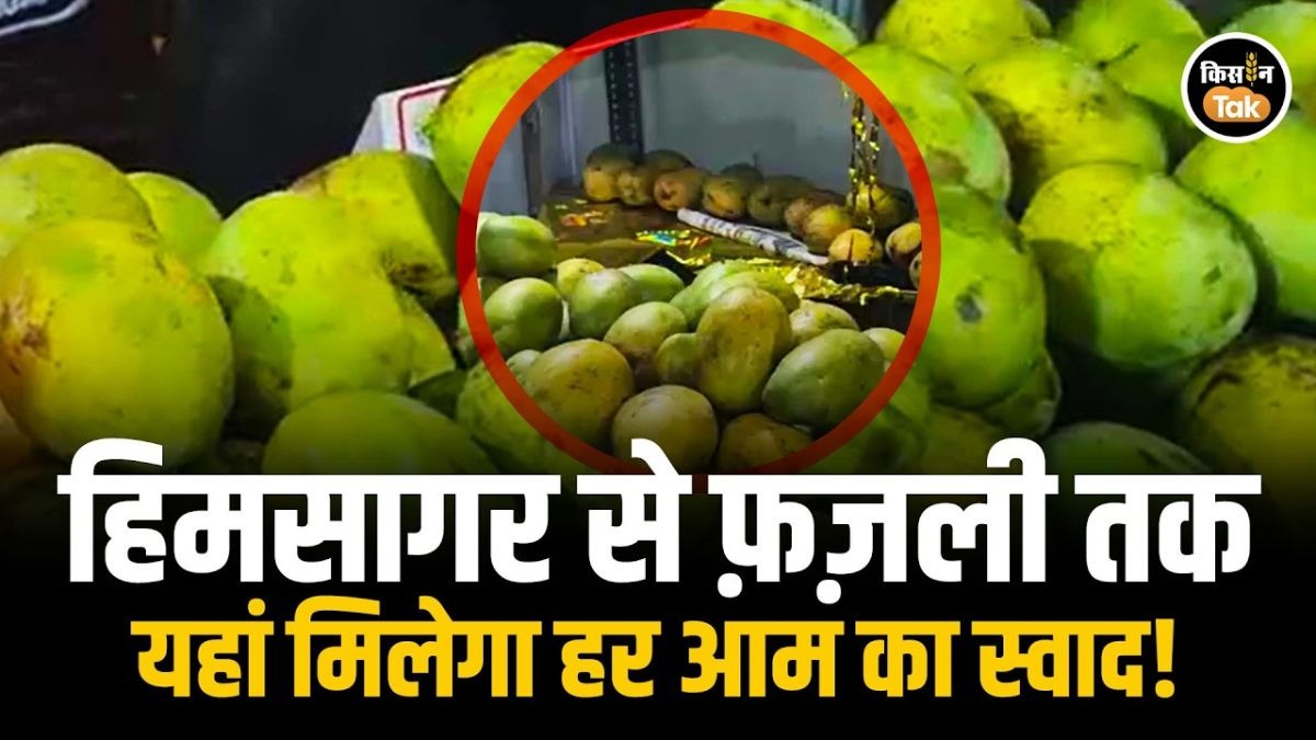 बंगाल मैंगो मेला