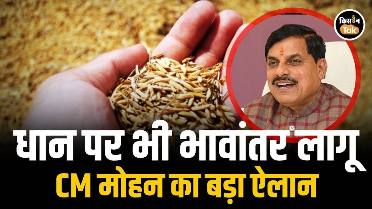 धान किसानों के लिए अच्छी खबर