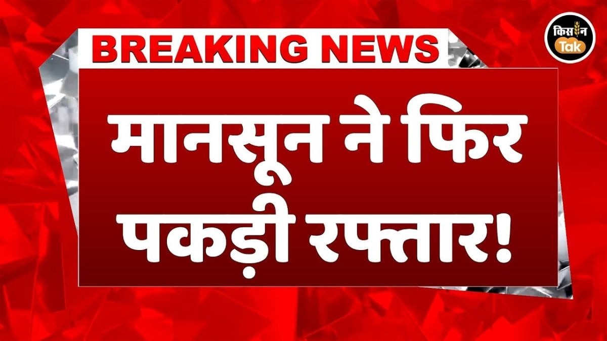 IMD का बड़ा अलर्ट! अगले 5 दिन इन राज्यों में होगी झमाझम बारिश