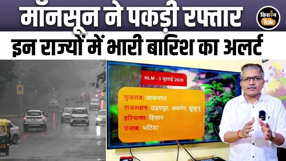 IMD का Monsoon Update, अगले 10–15 कैसा रहेगा रहेगा मौसम का हाल?