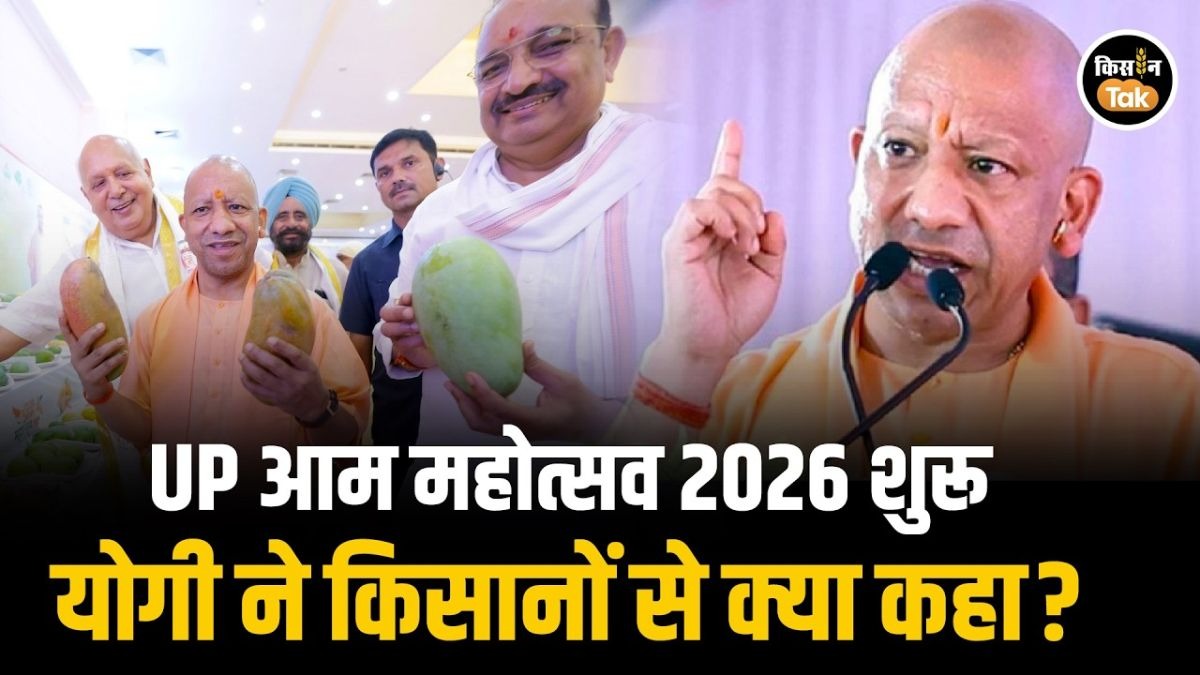 आम महोत्सव