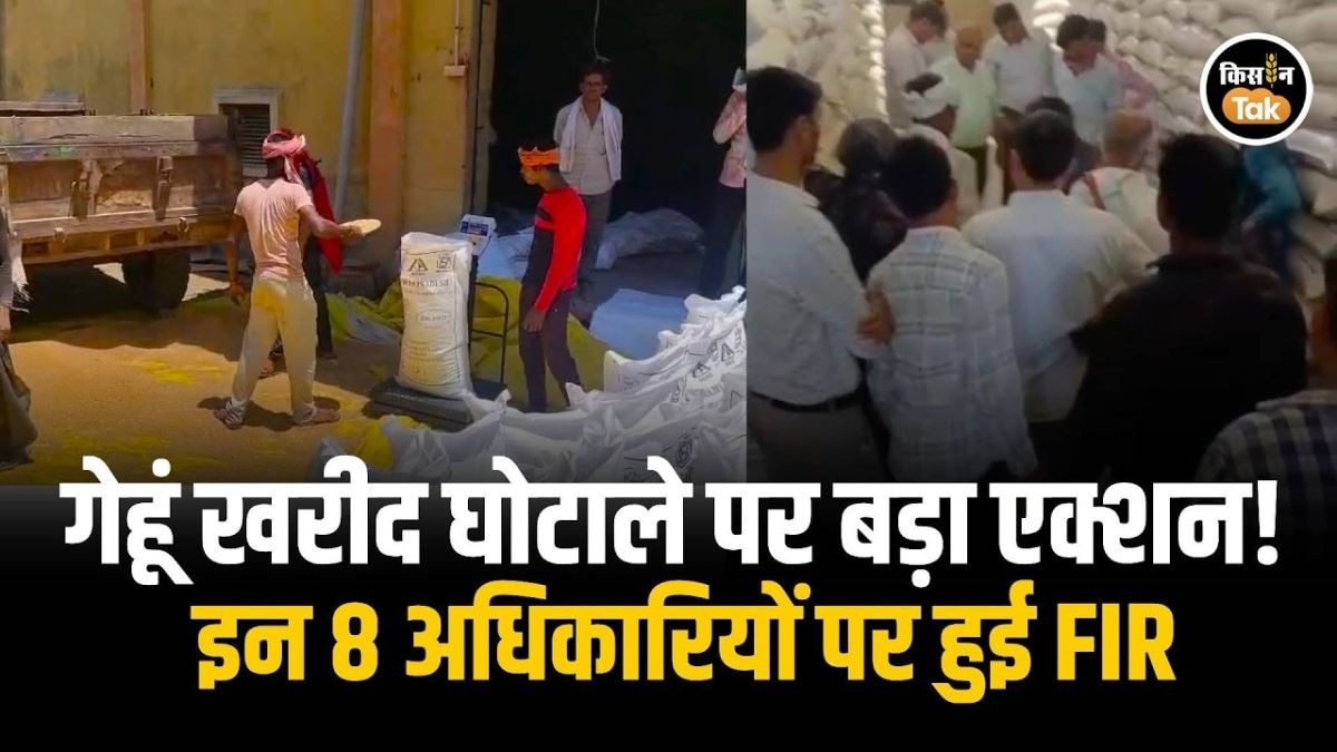 गेहूं खरीद