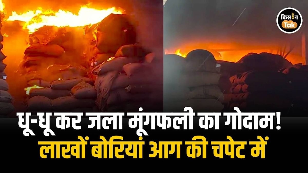 मूंगफली के गोदाम में लगी भीषण आग