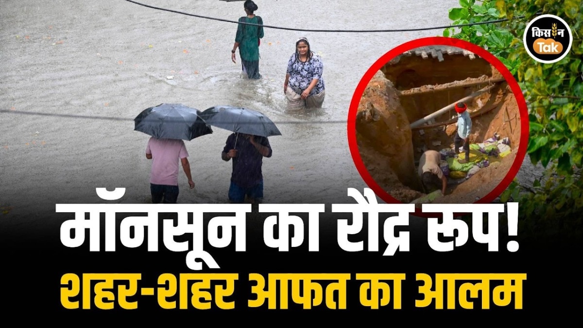 monsoon heavy rain