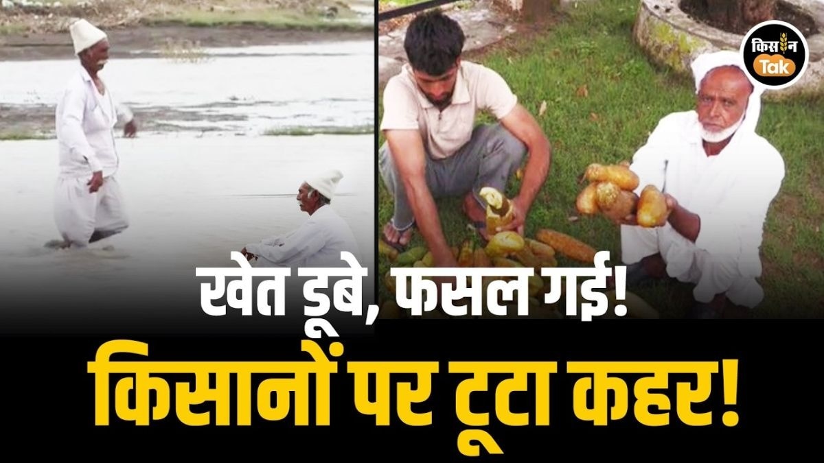 खेतों में जलभराव से किसान परेशान