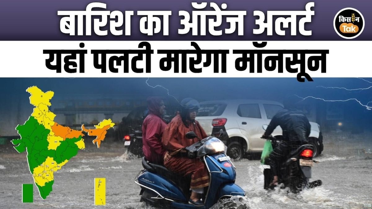11 जुलाई को देश भर में कैसा रहेगा मौसम, देखें IMD का अपडेट 