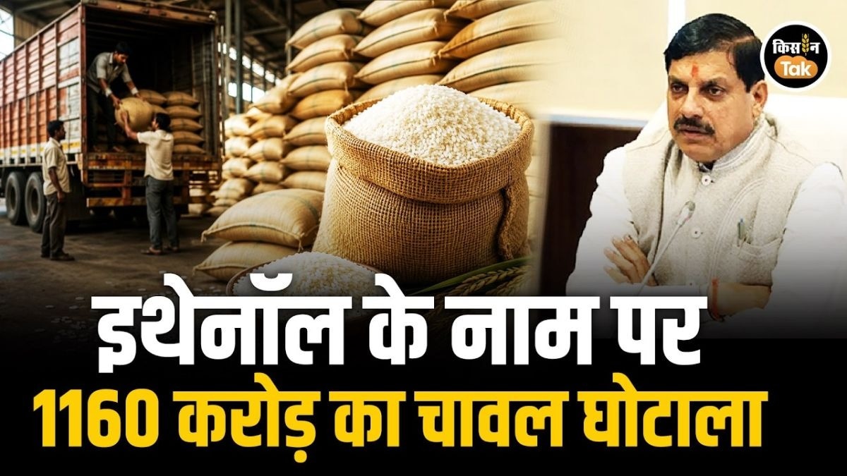 चावल गायब