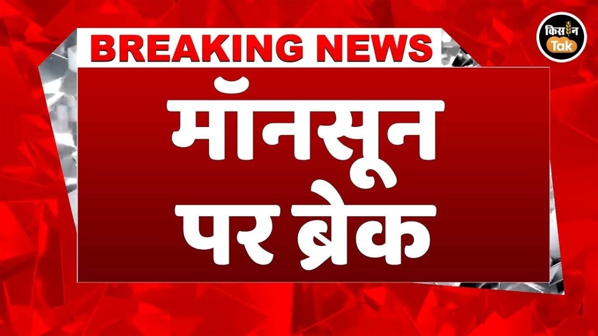 13 जुलाई को इन राज्यों में होगी मूसलाधार बारिश? जानें पूरा अपडेट