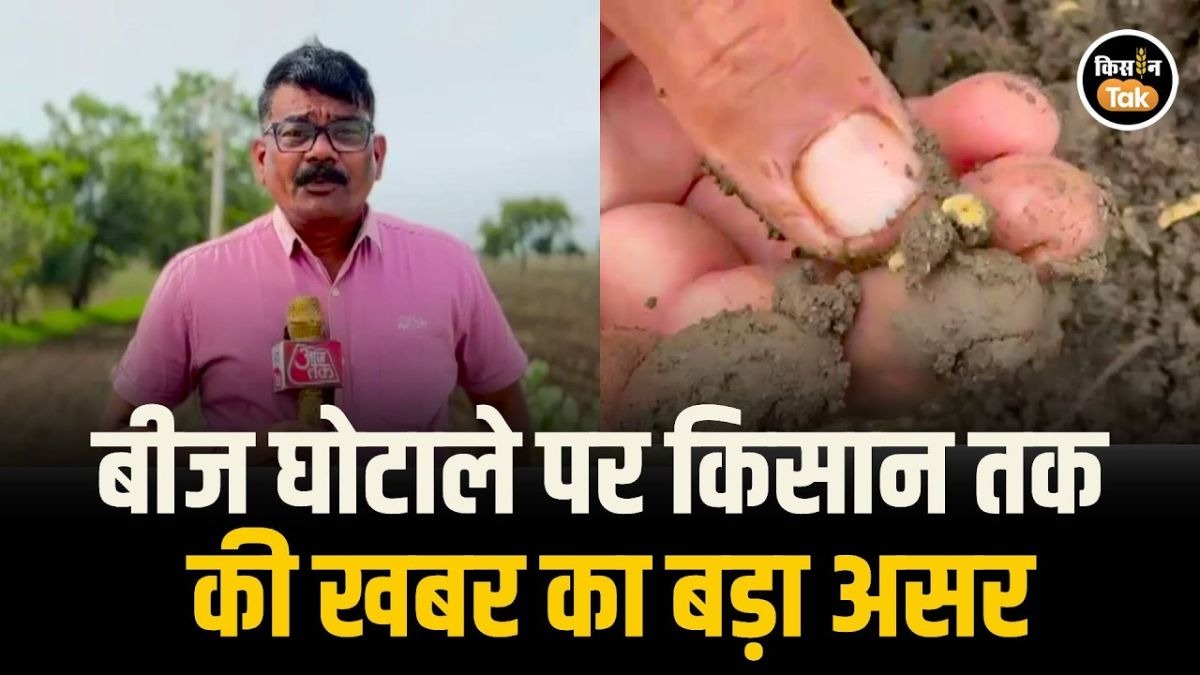 सोयाबीन बीज