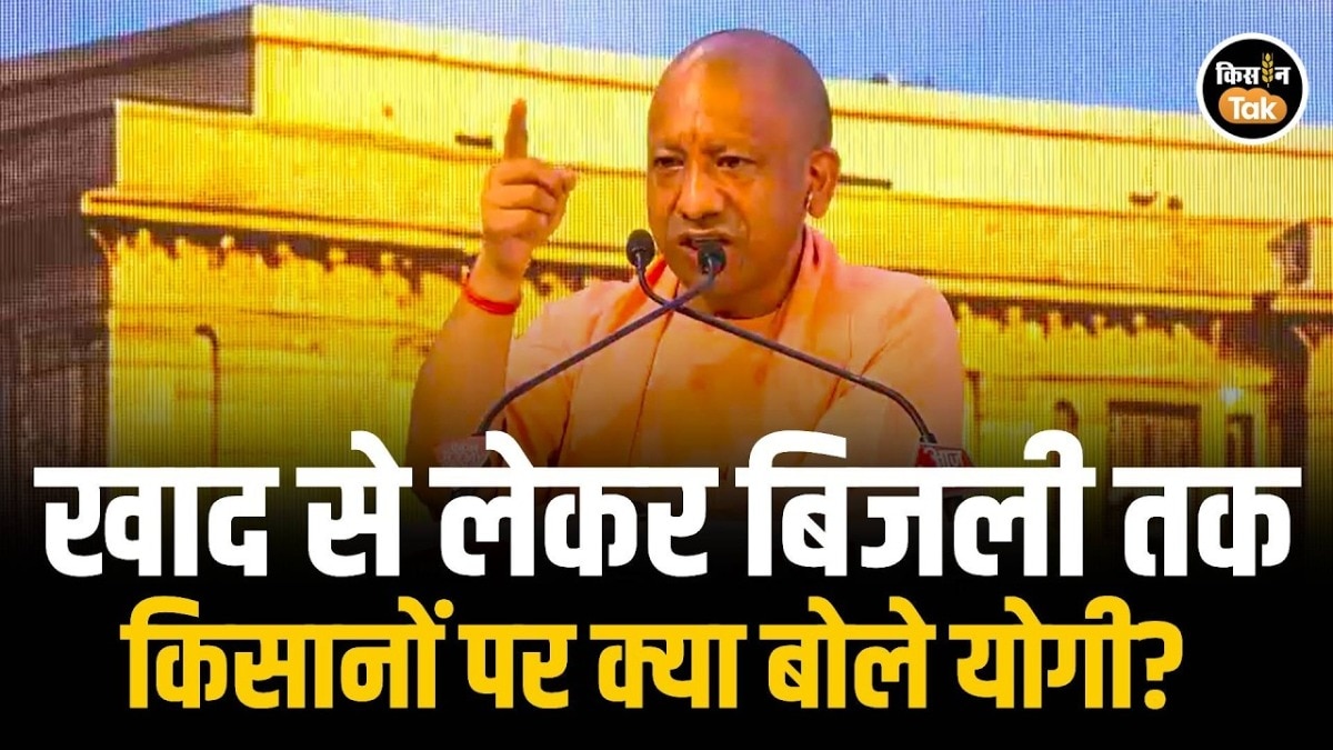 cm yogi on fertilizer