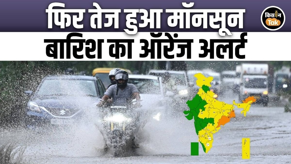 16 जुलाई को देश भर में कैसा रहेगा मौसम, देखें IMD का अपडेट