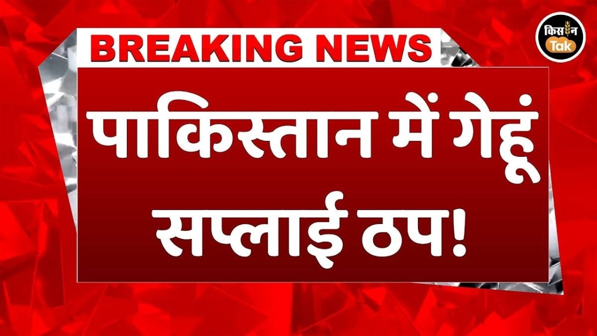 पाकिस्तान