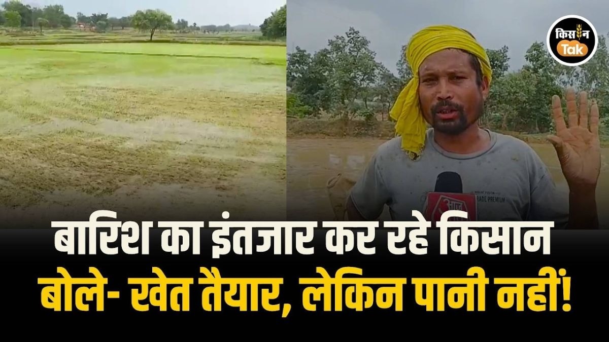 मॉनसून की सुस्त रफ्तार