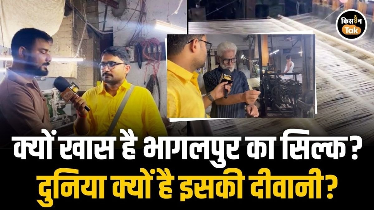मशहूर रेशम