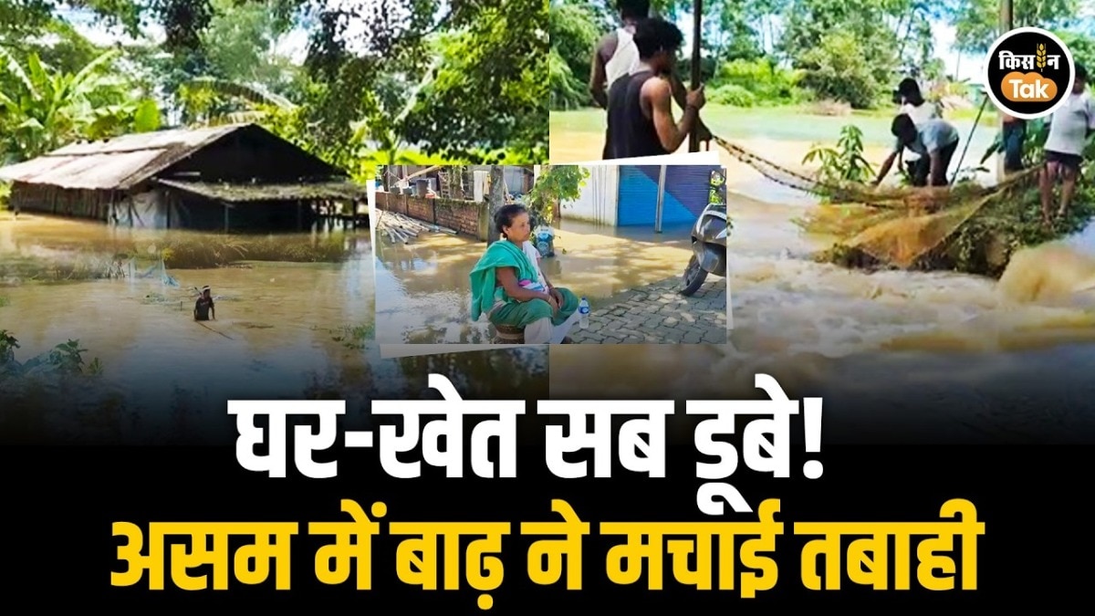 assam flood