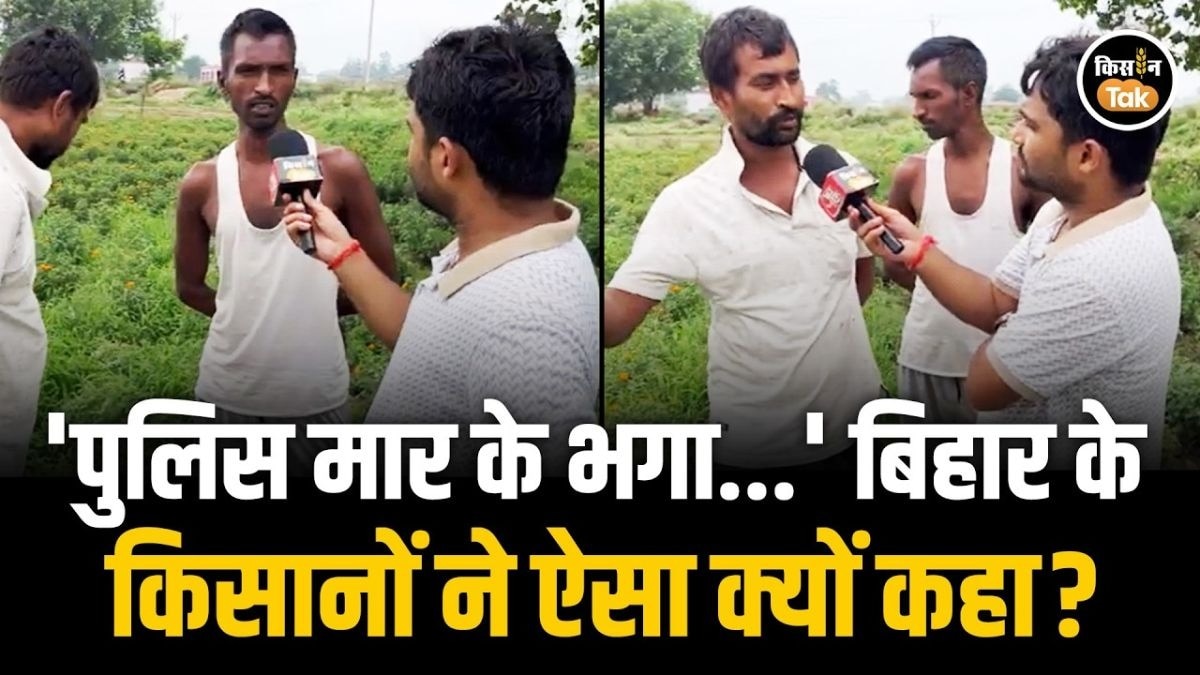 गेंदा किसानों पर टूटी कीमतों की मार