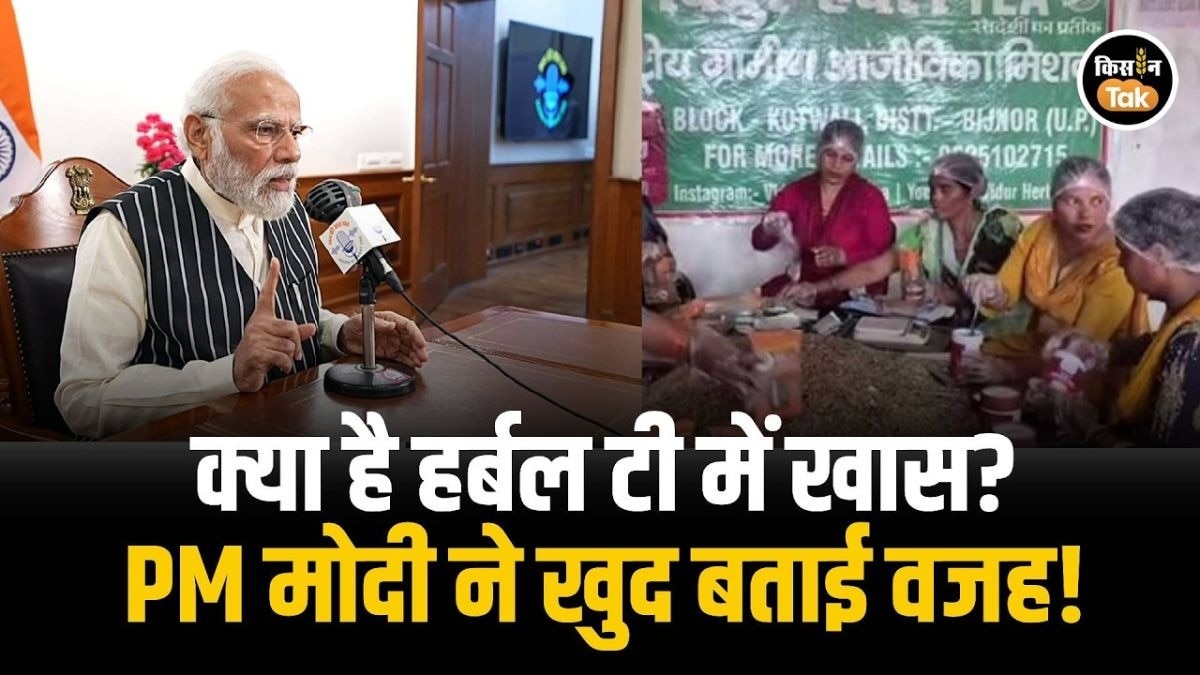 PM मोदी