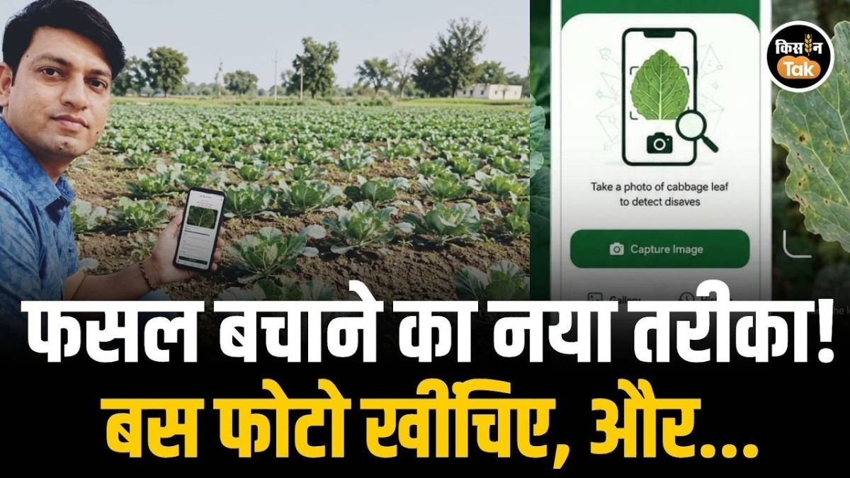 मोबाइल बनेगा फसल का डॉक्टर
